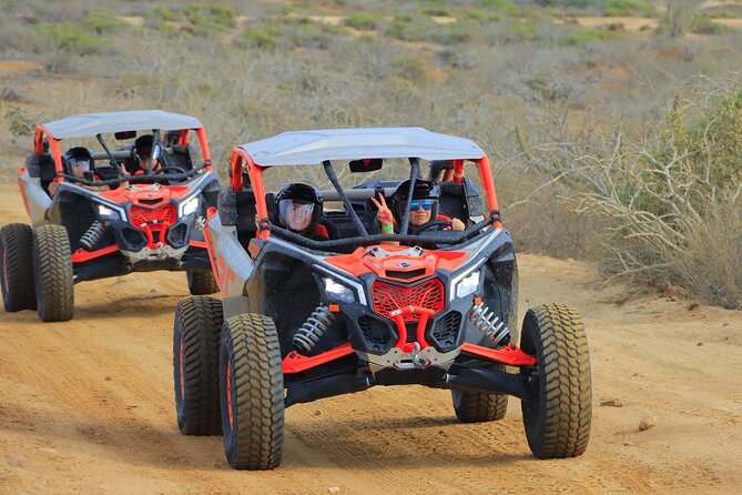 Real Baja Tour Aboard an Off-Road RZR in Los Cabos - Cabo San Lucas - Common Questions