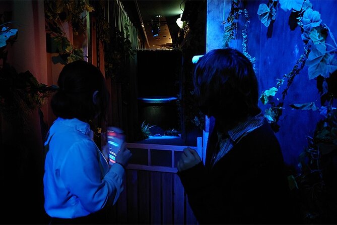 Real Escape Game and Haunted House With Sadako and Cursed Video - Group Size and Pricing