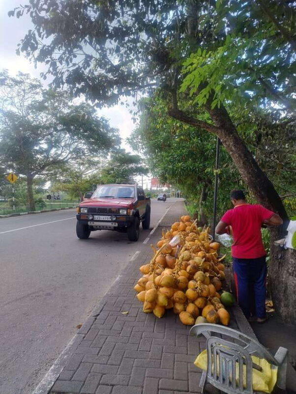 Real Essence of Colombo - Sightseeing & Cultural Exposure - A Deep Dive into the Tour Experience