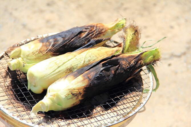 Real Farm-to-Table Vegetable Harvesting Experience - Health and Safety Information