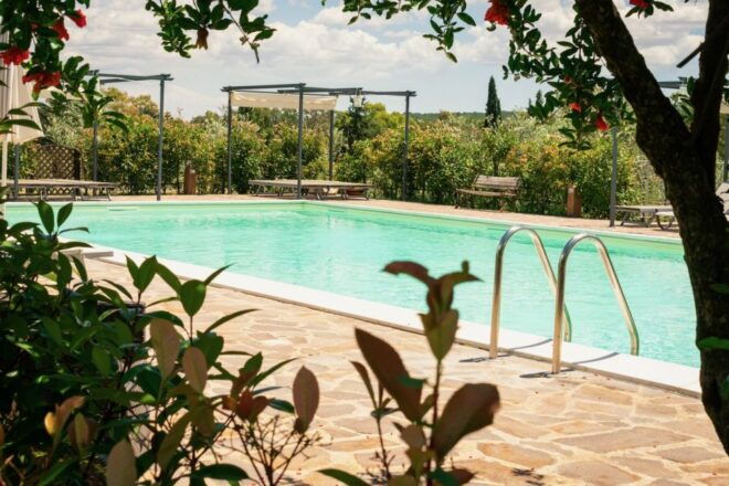 Real Farmers Lunch at Olive Farm in the Italian Countryside - Book Your Culinary Adventure Today