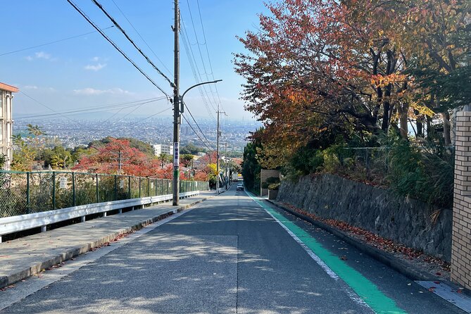 Real-Life Anime Location Visiting in Osaka Private Guided Tour - Common Questions