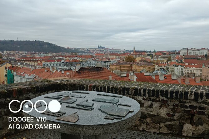 Real Life in Prague - Dog Walk From VyšEhrad to Výtoň - Tour Details