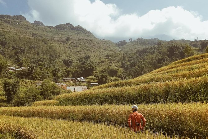 Real Sapa Experience 5Days/5nights - Day 4: Conquering Fansipan Peak