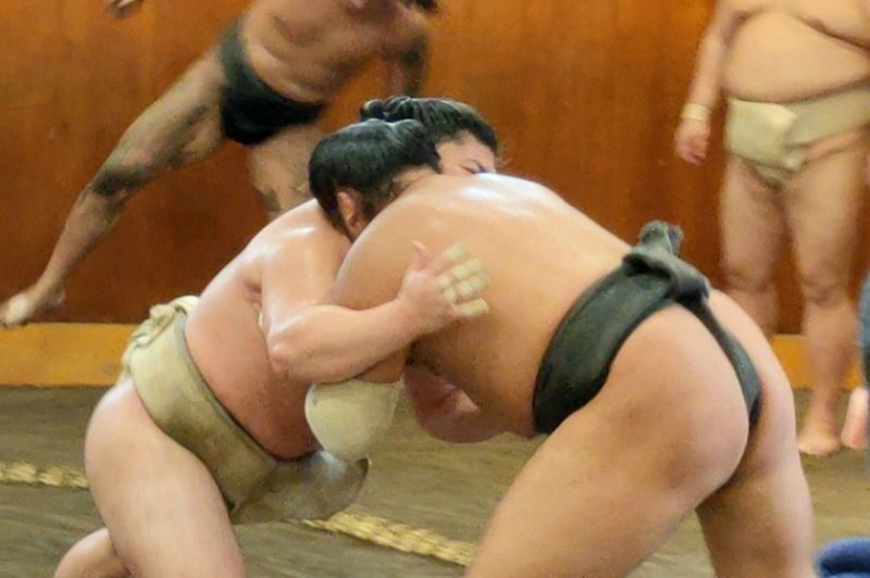 Real Sumo Training Watching Experience in Tokyo - Why a sumo practice feels different from a match