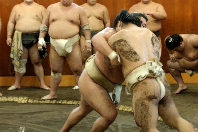 Real Sumo Training Watching Experience in Tokyo - The 7:45 start in Ryogoku