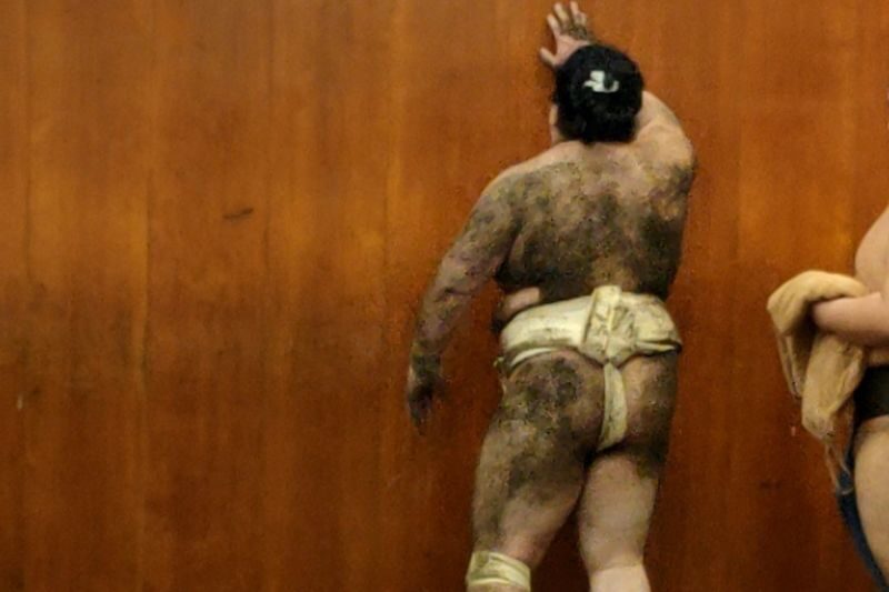 Real Sumo Training Watching Experience in Tokyo - A guide’s quiet explanations