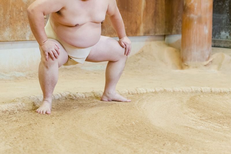 Real Sumo Training Watching Experience in Tokyo - Respecting the stable’s rules