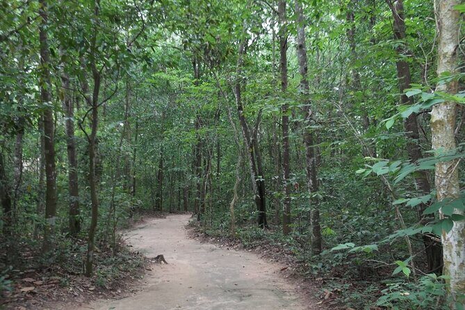 Real Tunnels-Ben Duoc Private Tour Experience 1/2 Day - Who Will Love This Tour?