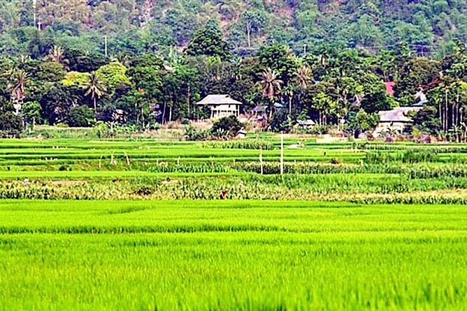 Real Vietnam Countryside Bicycle Tour & Enjoy Sunset On Wood Boat - Traveler Reviews