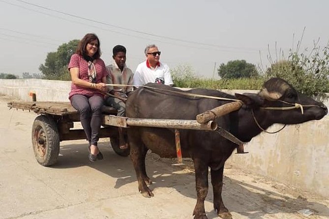Real Village Tour Amritsar - Tour Highlights