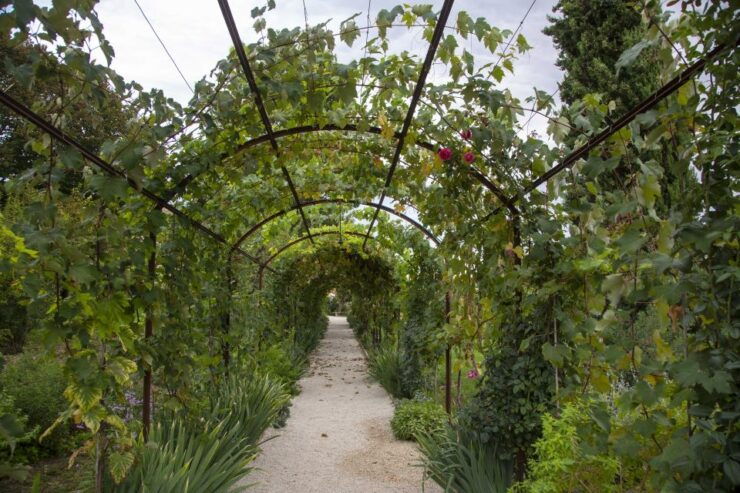Recanati: Garden on the Hill of Infinity Entry Ticket - Ticket Details