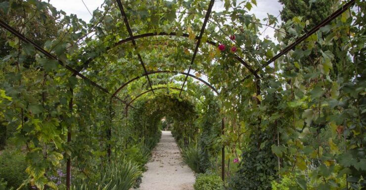 Recanati: Garden on the Hill of Infinity Entry Ticket - Experience
