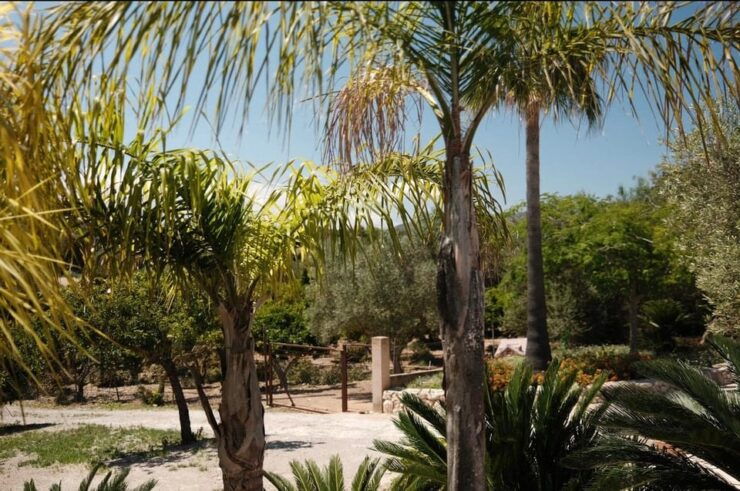 Recharge & Reconnect: A Beautiful Day Retreat in Mallorca - Daily Schedule