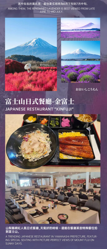 Recommended for Families: | Mount Fuji 5th Station/Arakurayama Sengen Park x Lake Kawaguchi (Includes Popular Sightseeing Train Ticket) x Oishi Park x Fruit Picking Day Trip (From Tokyo) - What the full day feels like