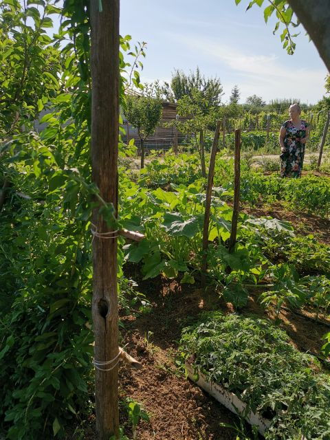 Reconnecting With Earth – a Hands-On Countryside Experience - The Sum Up