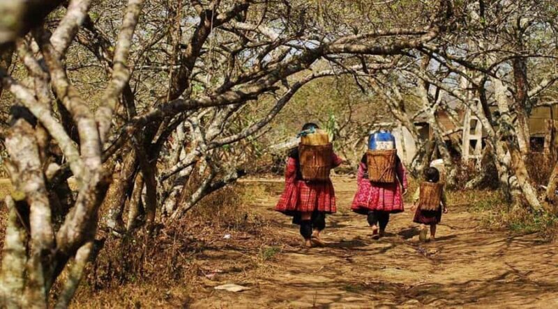 Red Dao Trek: Culture, Ancient Rose Garden & Ta Phin Village - Practical Details and Logistics