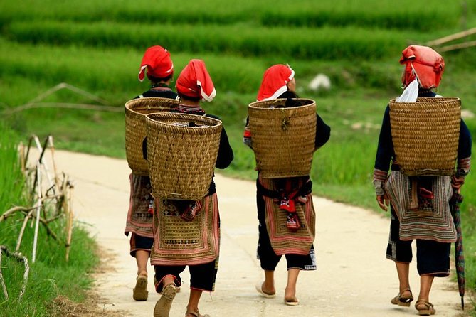 Red Dao Village Trek and Herbal Bath - Traveler Information: Weather and Group Size Requirements