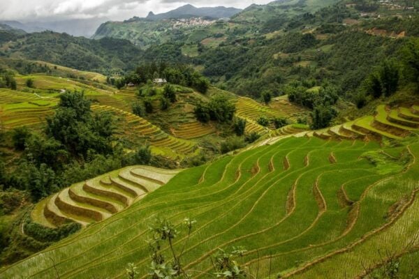Red Dao Village Trek and Herbal Bath - Red Dao Village Trek Description