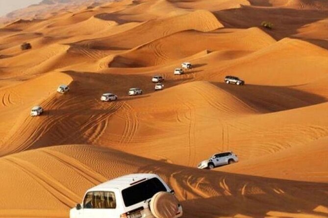 Red Dune 4x4 Desert Safari With Camel Ride & BBQ Dinner - Pickup Information