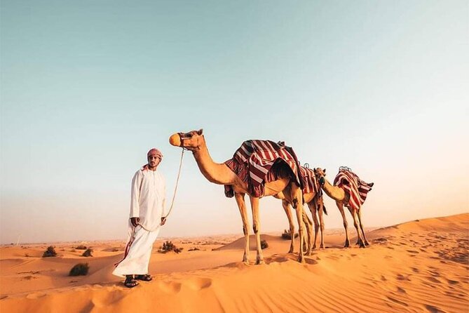 Red Dune Bashing With Camel Ride Sandboard Sunset Pictures & BBQ Dinner - Sandboarding Thrill