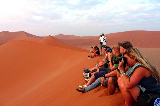 Red Dune Desert Safari With ATV Quad Bike, Live Show, Camel Ride & Dinner - Booking Information