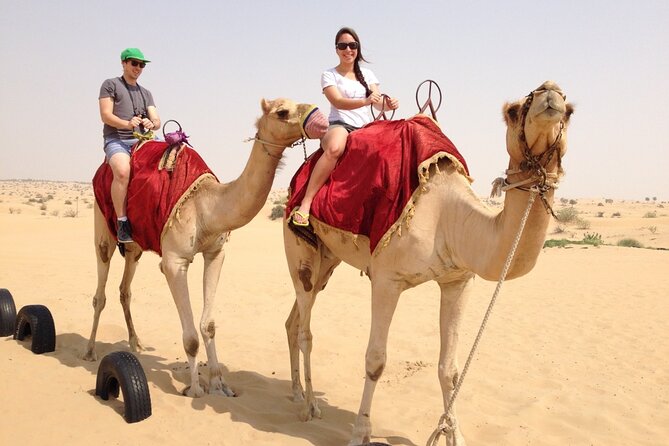Red Dune Desert Safari With BBQ Dinner and Camel Ride - What To Expect