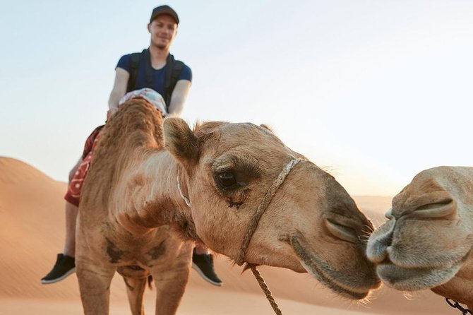 Red Dune Desert Safari With Private Beach & Pool Access - Cancellation Policy
