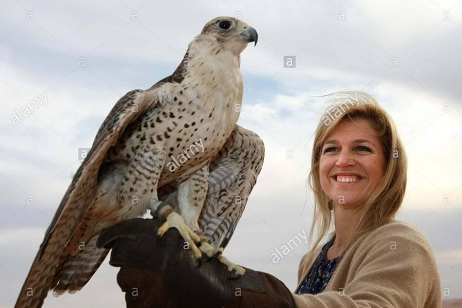 Red Dune Evening Desert Safari With BBQ Dinner and Camel Ride - Traveler Photos
