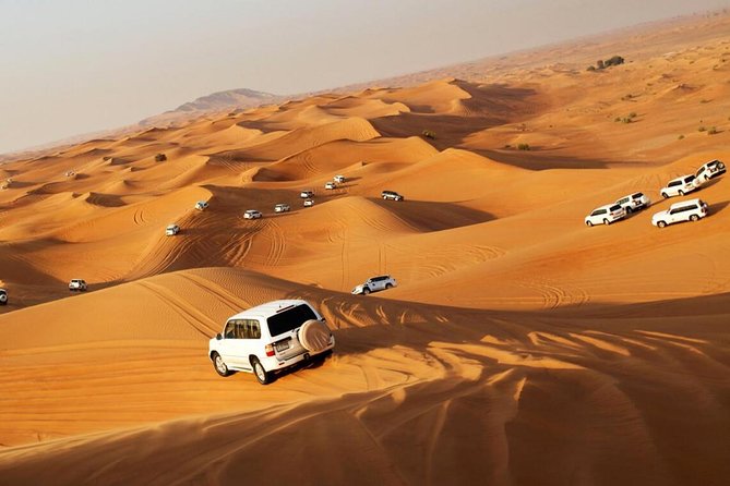 Red Dune Evening Desert Safari With BBQ Dinner - Cancellation Policy Details