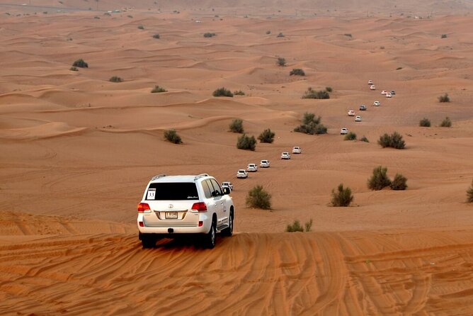 Red Dune Evening Desert Safari With Sandbashing and BBQ Dinner - Cancellation Policy