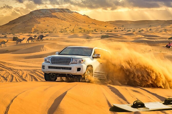 Red Dune Safari, Camel Ride and BBQ Dinner in Bedouin Camp - Start Time and End Point