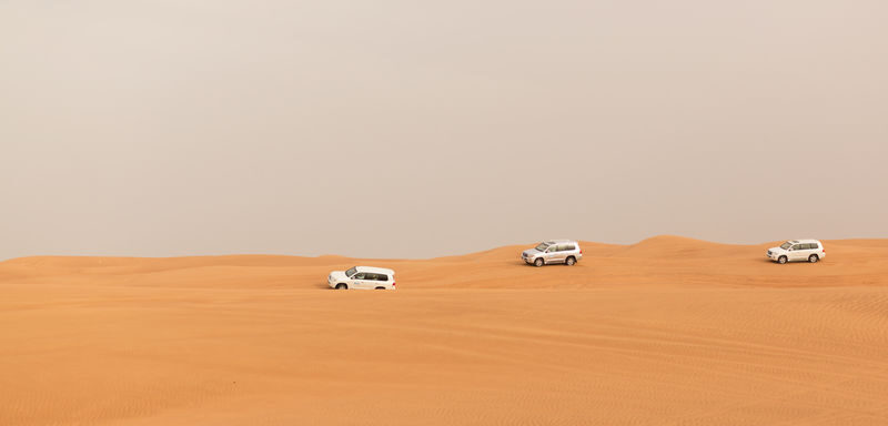 Red Dunes Desert Half-Day Safari with Live Entertainment - The details that matter