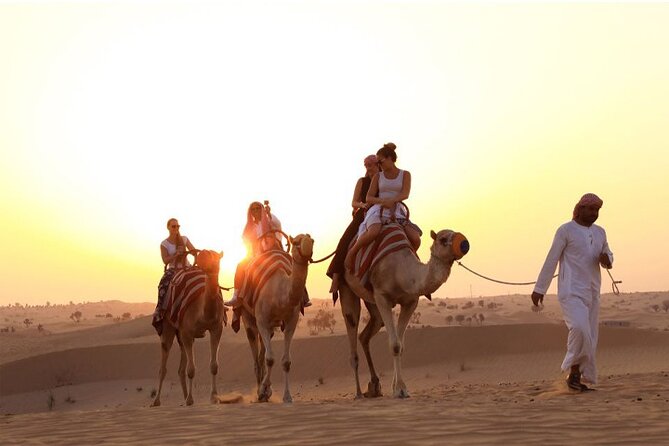 Red Dunes Desert Safari Dubai With Camel Riding and BBQ Dinner - Discover the Beauty of Arabian Nights
