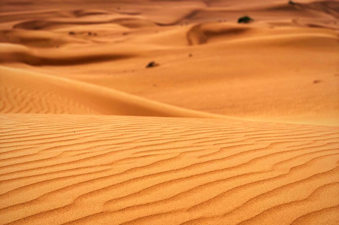 Red Dunes Desert Safari Evening With Quad Bike Riding, Bbq-Dinner, Camel Ride - Unforgettable Camel Ride Experience
