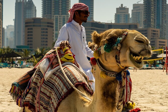 Red Dunes Quad Bike Safari, Sand Surf, Camels and BBQ - Pricing and Guarantee