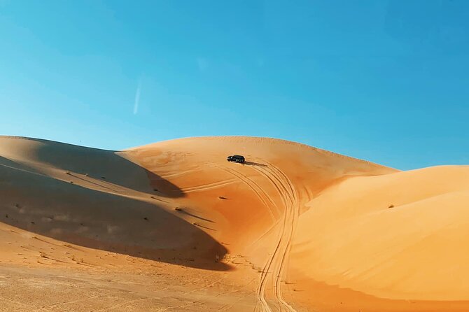 Red Dunes Sand Safari and Camel Ride With BBQ Dinner From Dubai - Traveler Photos and Reviews
