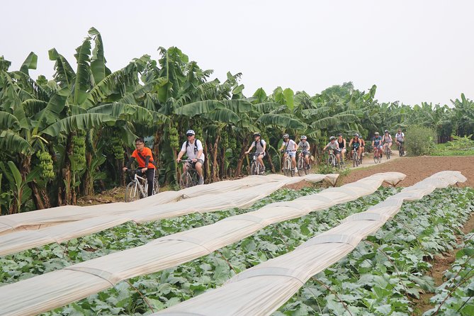 Red River Island Biking Expelore - Traveler Photos