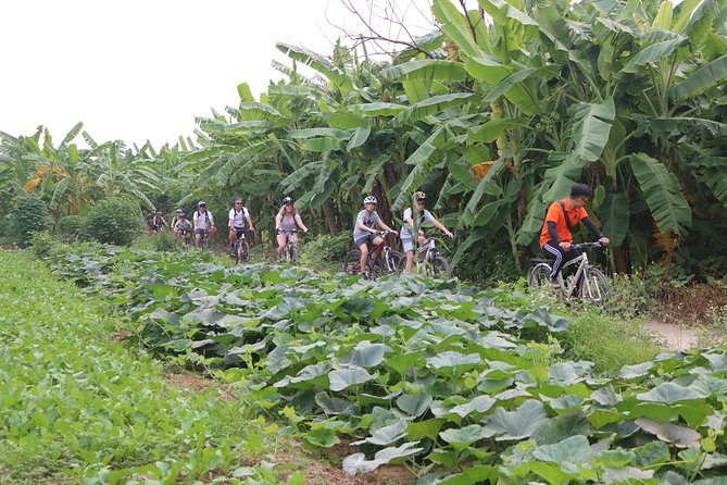 Red River Island Biking Expelore - Additional Information