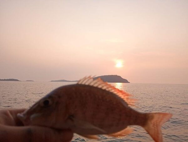 Red River Tour - Deep Sea Fishing By Boat In Phu Quoc - Frequently Asked Questions