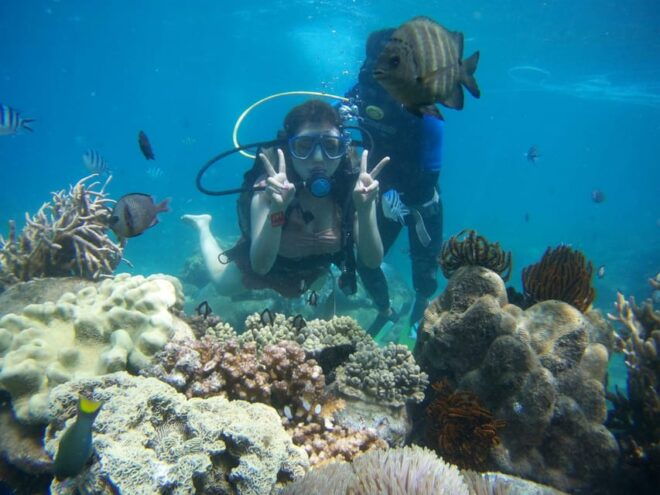 Red River Tour - Scuba Diving At Roi Island Phu Quoc - Marine Life Exploration