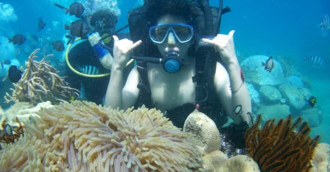 Red River Tour - Scuba Diving At Roi Island Phu Quoc - Essential Information