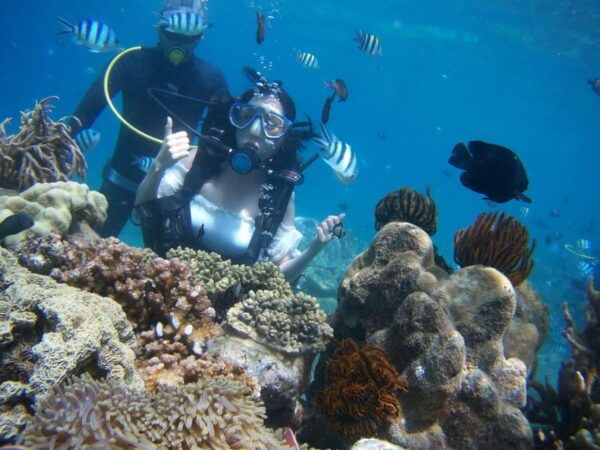 Red River Tour - Scuba Diving At Roi Island Phu Quoc - The Sum Up