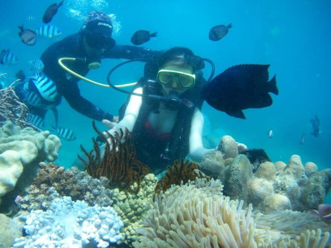 Red River Tour - Scuba Diving At Roi Island Phu Quoc - What to Bring