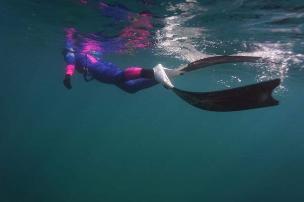 Red River Tour - Snorkeling Day Tour 2 Islets in Phu Quoc - Booking Information