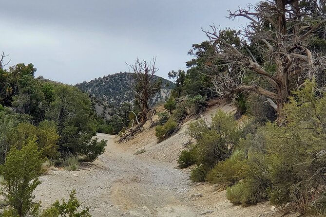 Red Rock Canyon Half Day Jeep Tour Offroad Adventure - Itinerary Highlights