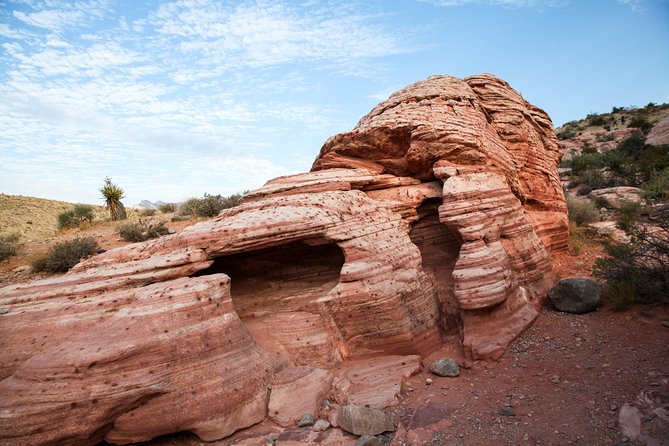 Red Rock Canyon Hiking Tour - Trail Options and Difficulty Levels