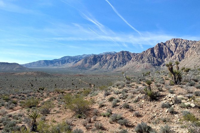 Red Rock Canyon Hiking Tour - Why Travelers Choose This Tour