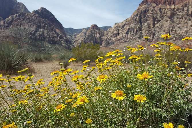 Red Rock Canyon Red E Bike Half-Day Tour - Directions
