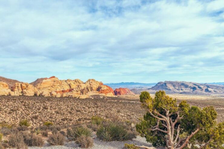 Red Rock Canyon Self-Guided Driving Audio Tour - Experience Highlights